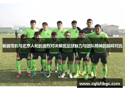新疆雪豹与北京人和的激烈对决展现足球魅力与团队精神的巅峰对抗