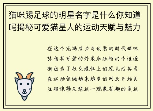 猫咪踢足球的明星名字是什么你知道吗揭秘可爱猫星人的运动天赋与魅力